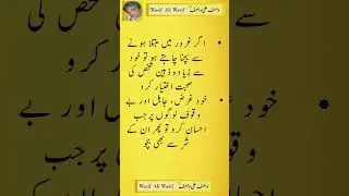Top Quotes Series Hazrat Wasif Ali Wasif 41-1000 #wasif_ali_wasif #aqwal_e_zareen #bestquotes