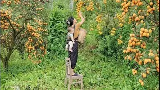 This Single Mother Takes Her Child Into the Wild to Pick Plums &mdash; The Reason Will Move You