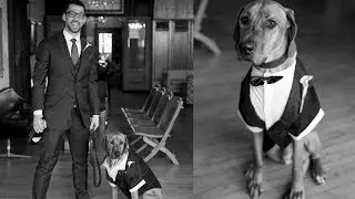 First Comes Dog, Then Comes Marriage - A Rhodesian Ridgeback Love Story