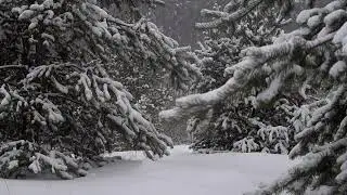 Miracle of Winter Music