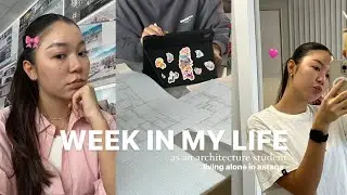 будни | учеба на архитектурном, жизнь, восьмое марта🌷