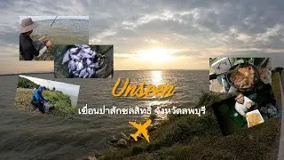 ท่องเที่ยว แค้มป์ปิ้ง ตกปลา เขื่อนป่าสักชลสิทธิ์ จังหวัดลพบุรี