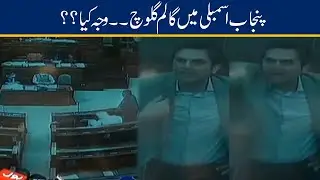 Exclusive ! Fight In Punjab Assembly l Foul Words Use