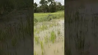 New floods  #Newfloods
