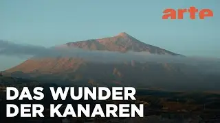 Kanarische Inseln: Meisterhafter Erfindergeist | Leben mit Vulkanen | ARTE Fernweh