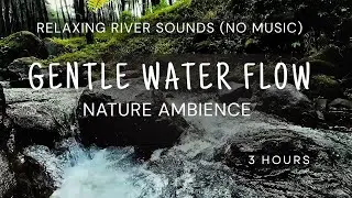 Relaxing River Sounds for Sleeping (No Music) - Gentle Water Flow & Nature Ambience