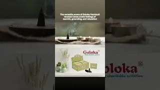Light Patchouli Dhoop Cones from Goloka to create a sanctuary of peace and harmony in your space