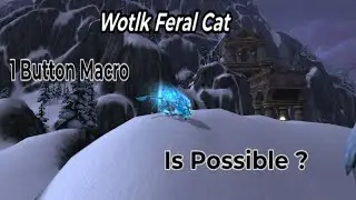 Feral Cat One Button Macro Icecrown Citadel 10 The Lich King Fight Wotlk 3.3.5