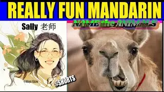 #Shorts｜Names Of Animals In Chinese｜One Day One Animal｜CAMEL 骆驼｜Learn Chinese With Sally Gouw
