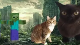 Кото апокалипсис (KItty.Net)