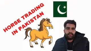 Horse Trading in Pakistan | Sindh Assembly