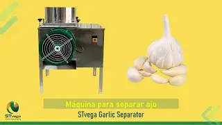 Máquina industrial STvega Garlic Separator para separar los dientes de ajo de la cabeza.