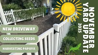 Florida native garden update in November 2025!