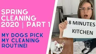 SPRING CLEANING 2020 PART 1 | MY DOGS PICK MY CLEANING ROUTINE | SPEED CLEANING MY HOUSE