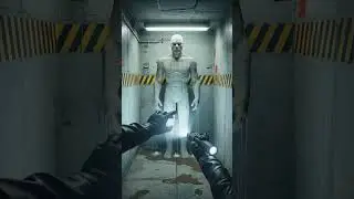 ☢️Subject: SCP-1702☢️  ⚠️Object Class: Euclid  ⚠️