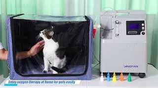 Veterinary oxygen concentrator works with pet cage, tent, ICU chamber or anaesthesia machine