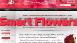 Презентация бизнеса от компании Smart-Flowers.ru