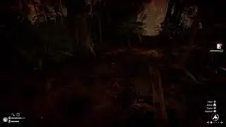 Green Hell Sobrevivência 191225
