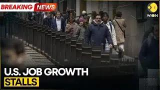 Wall Street Rises Sharply After U.S. Jobs Data | Payrolls Rise Just 22,000 in August | WION BREAKING