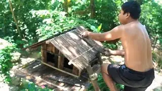 Build Birds House create Primitive life Technology 2026