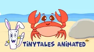 Let's know the animal | Crab Facts for Kids | Fun Learning Video for Kids | Tinytales Animated