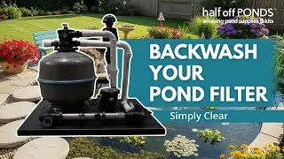 Pond Filter Backwash Guide &ndash; Simply Clear System