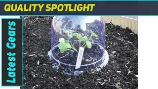 GrowAway Mini Greenhouse: Easiest & Most Effective Plant Protection?