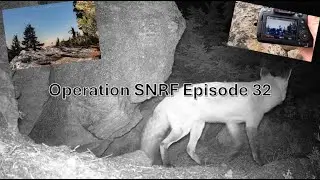 Operation SNRF Episode 32 - Detection!