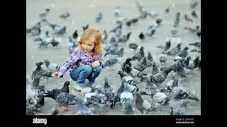 Little girl feeding birds on Dam Square in Amsterdam on summer day pigeons and sparrows