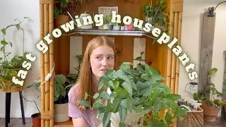 5 Fast Growing Houseplants + Tips to Make Them Grow | quick growing plants, plant care tips