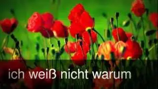 Ich verstehe dich nicht Shaso1305