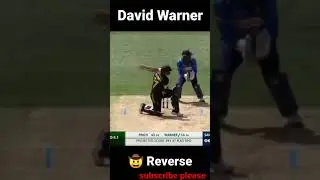 David Warner Reverse Shot #cricket #shorts