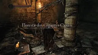 DARK SOULS II: Scholar of the First Sin_20260104171252