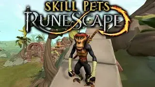 RS3 Skill Pets #08 - Dojo Mojo