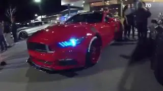 royal Shelby car meet