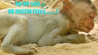 Heart Break To See Poor Orphan Baby Dustin Like This|Dustin Feel Sleepy,Not Fine To Play With Friend