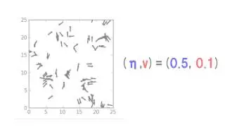 Vicsek-model simulation