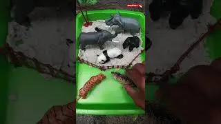 Mini Zoo Adventure! 🐘🐯🐻🐶 #toyanimals #minizoo #toyzoo #toyvideo
