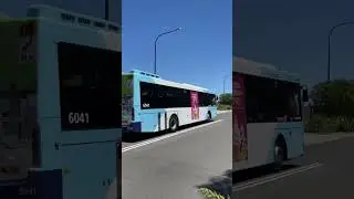 CDC Hillsbus 6041 #buses #bus #sydneybuses