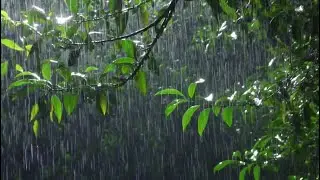 Best Heavy Rain Sound for ADHD - Focus Enhancing Rainstorm for Productivity