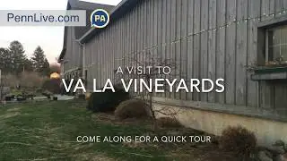 A visit to Va La Vineyards in Chester County, Pa.