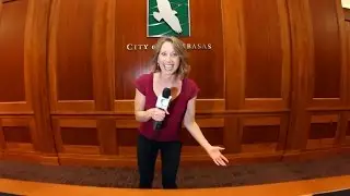 The Buzz, Calabasas Events Weeks of Dec. 21st & 28th (City Hall, 2015 Year in Review)