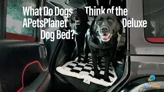 Unboxing & Installing the APetsPlanet Deluxe Dog Bed for the Backseat Extender in My Jeep