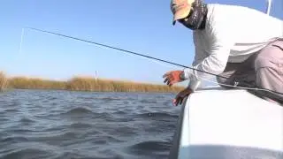 Redfish Top Water