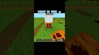 MINECRAFT WEIRD LOGICCC 💀 #minecraft #minecraftshorts #trending #shorts #gaming #minecrafthack
