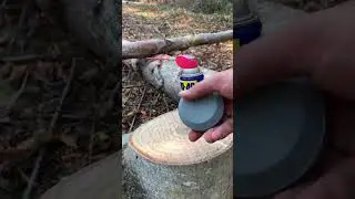 ASMR Workshop Sounds | Satisfying Woodwork