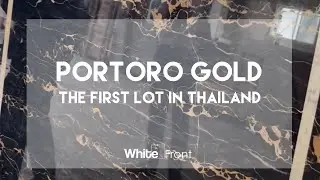 White Front : Portoro Gold