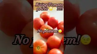 #kitchentips #asmrsounds #sorting #tomatoes #foodasmr |how to managing tomato price hike🍅🤔|