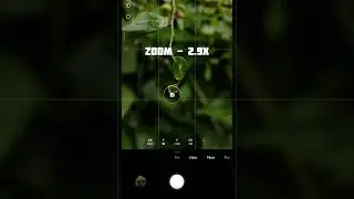 Photography Tutorial for Beginners | Learn Camera Settings &Pro Tips. #beginnerphotography