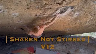 Shaken Not Stirred / Right Martini V12